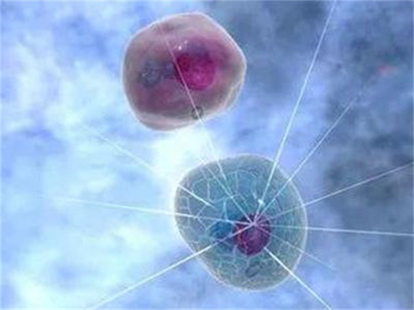 在北京做三代试管婴儿要花多少钱?含成功率及具体费用参考!